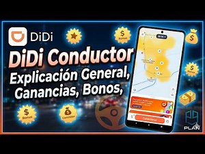 DiDi Driver, General Explanation, Earnings, Bonuses, Maps, Settings, Etc.