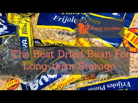 What Dried Bean Is The Best For Long-term Storage?
