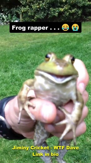 Rapping frog lol #shorts #frog #funny #hiphopmusic #animals