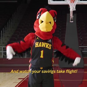 106 reactions · 13 shares | Harry the Hawk can’t talk, but if he could, he’d tell you about our surprisingly great rates! | State Farm | Facebook