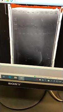 6. DNA Gel Electrophoresis - imaging DNA gel using a GelDoc XR+ imager