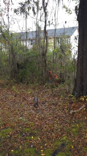 Disc golf fail 😔 #fyp #foryourpage #discgolf #discgolffail | Keith Lindsay