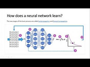 convolutional neural network (CNN)
