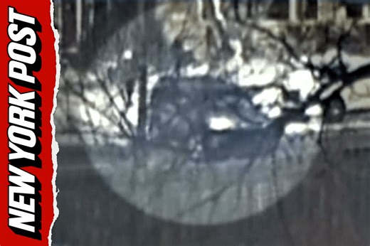 New video shows Renee Nicole Good appear to block road before fatal ICE shooting