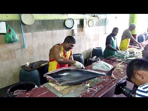 Lever les filets d'un thon de 30kg en 7'45", leçon d'un poissonnier maldivien