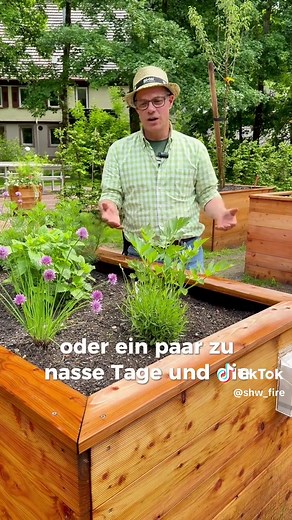 Pflanzen für dein Hochbeet: Einsteiger-Tipps und Ideen