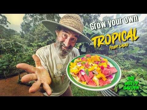 I Grew a Tropical Fruit Salad… and the Taste Is Unbelievable