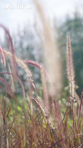 293 reactions | Discover the art of Elegance this season with our timeless Mens Ethnic Collection. Crafted from premium fabrics, Featuring detailed embroidery, classic cuts, and vibrant winter tones. From intricately woven shawls to bold kurta sets in rich hues, redefine your wardrobe with pieces that exude sophistication and comfort. | Diners | Facebook