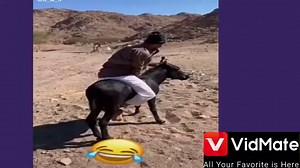 5.1M views · 120K reactions | موت ضحك 藍藍 لقطات مضحكة ضحك حتا الموت #ضحك #VidMate | VidMate | Facebook