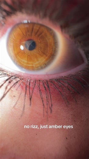 Exploring the Beauty of Amber Eyes: Eye Color Trends