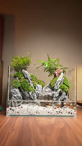 3.4K views · 63 reactions | The collision of plants and landscaping,...