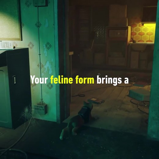 1.1M views · 10K reactions | Press ⭕ to Meow in Stray (PS4/PS5/PC) | IGN | Facebook