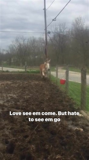 Love sick blues. | Scott Wilson