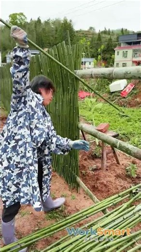 Manual Bamboo Fencing : How Careful Placement Creates Natural Boundaries