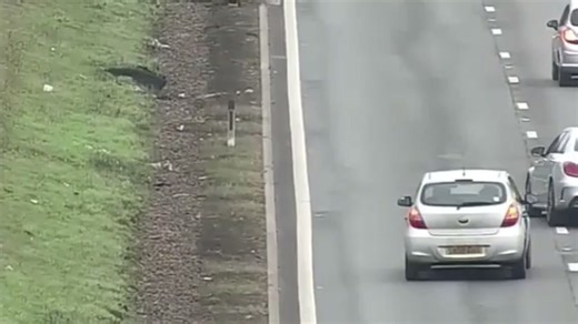 Car drives miles down M1 after losing wheel in high-speed crash
