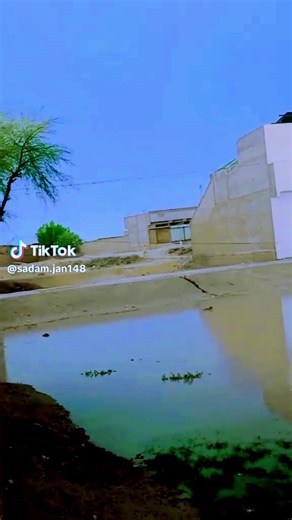 Azane Ali Panhwar on TikTok
