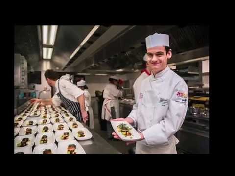 Welcome to Foxes Academy