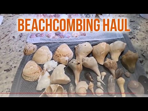 How to Shell Like a Pro: Little-Known Tricks