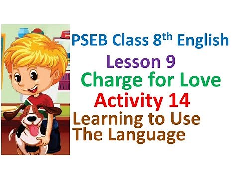 8th English Lesson 9 Charge for Love Activity 14