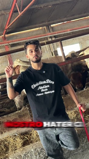 Visita la nostra macelleria a San Felice a Cancello - Carne mostrata da dove nasce