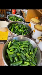 Homemade pickles 🥒 #pickles #homemade #polishfood | Polish Food, News and T-shirts
