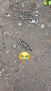 Aberdeen is a magical place to play finders keepers 😂 #aberdeen #funnyvideos #Wow #Washington | Jeremiah Hughes