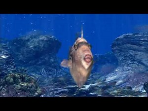 Reel Fishing II - Intro