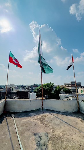 تم آزادی کو ڈھونڈو گے؟ #cheeku9611 #bunny_x7 #bunny_aya #siali22 #saith #explore #pti #pti_zindabad #imrankhan