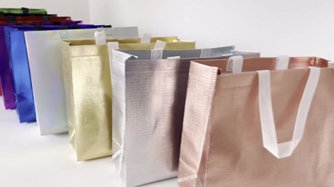 12 Pcs Present Gift Bags Reusable Gift Bag for Party Wedding