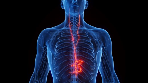 Vagus nerve stimulation may tame autoimmune diseases