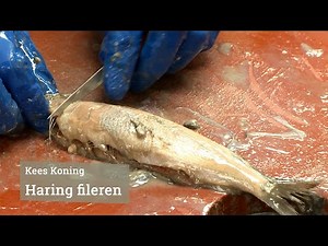Haring fileren