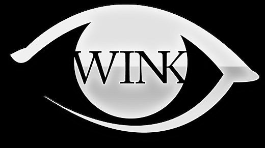 ASL Classifiers Online Course — Wink