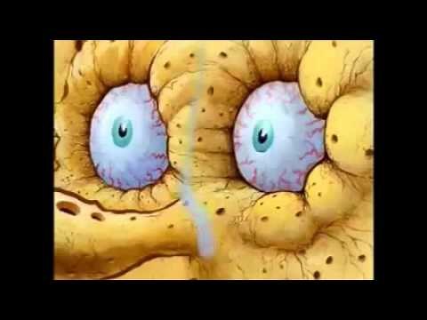 SpongeBob SquarePants - I NEED IT!!!!!!!!!!!!!!!!