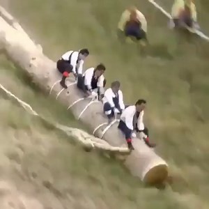 Onbashira Festival in Japan | Share Video