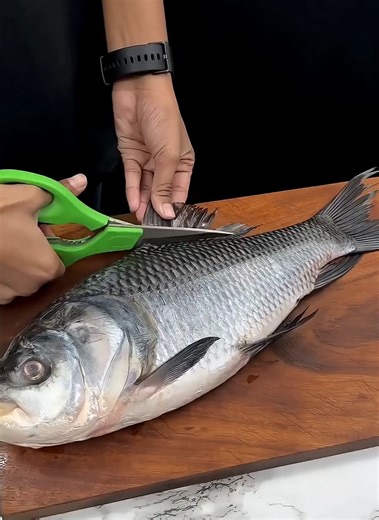 Unique Seafood: Starfish Cooking Experience