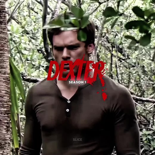 audio of @cl chxrlie (3 hours editing) (good edit?) #viral #dexter #edit #fyp #allseasons