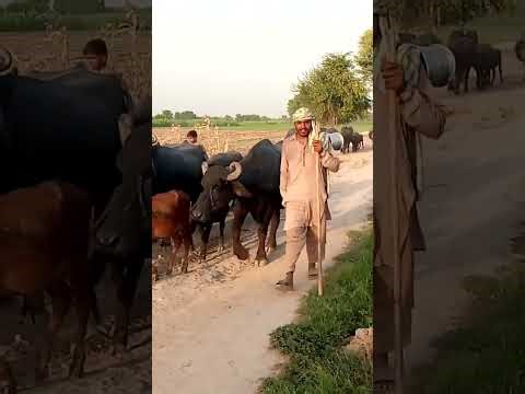 This Science Fiction Audiobook Will Keep You Awake at Night | Futuristic Sci-Fi Story