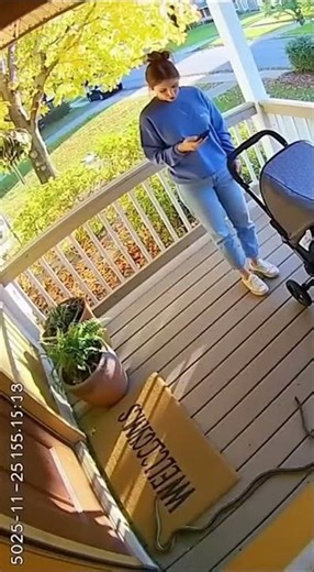 Snake Crawls Under Baby Stroller On Porch! #wildlife