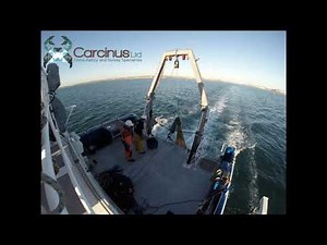 Scientific beam trawl survey for marine fish ecology assessment