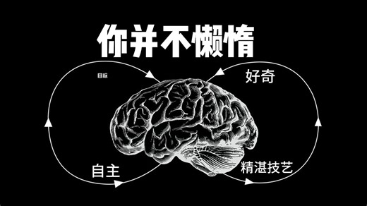 如何迫使你的大脑渴望做困难的事？丨Rian Doris