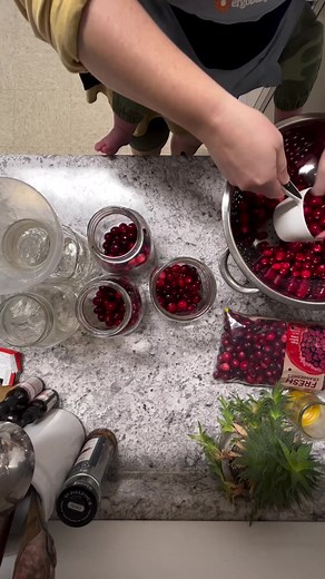 Canning cranberry juice 👇🏽This is super simple and so easy to do! Easier than jam!I’ve bought cranberries on sale the last 3 years around thanksgiving and have canned cranberry juice for my summer spritzers. Grab some clean quart jars. Add 1 Cup rinsed cranberries. Add 1/2 Cup cane sugar. Fill jars with boiling water leaving 1 inch headspace. (Adding boiling water helps the cranberries to pop right away. Thus releasing more cranberry juice while in the water bath)Wipe rims, add lids, screw on 
