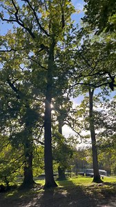 When was the last time you visited Erica’s Fairy Forest? This, magical, Fairy Forest is dedicated to the memory of Erica Ní Draighneain, (2010-2016). A place full of wonder, and adventure. Located at Halton’s Amenity & Forest Park in Cootehill on the Cavan-Monaghan border, the forest is free to visit and open all day, every day. @irelandshiddenheartlands @cootehill_official | This is Cavan