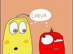 Larva season 1 main theme bgm 라바 1기 메인 브금