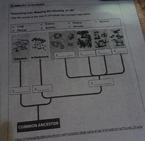 Use the words in the box to complete the concept map below.Fu... | Filo
