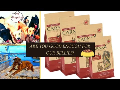 Carna4 Dog Food Review for Senior Dogs