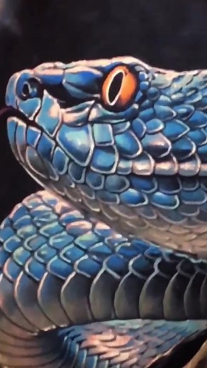Blue Snake Tattoo Designs and Realism Ink - Wildlife Animal Tattoos