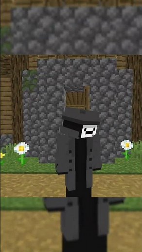 the right way to put items in chest #minecraft