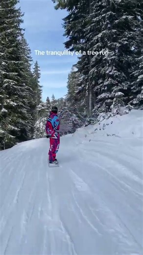 We love a tree run 🫶🏼 #snowboarding #skiseason #skiers #snowboard