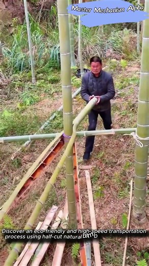 Utilizing Half-Cut Bamboo Rails and Natural Slopes for Sustainable Logging #engineering #forestry