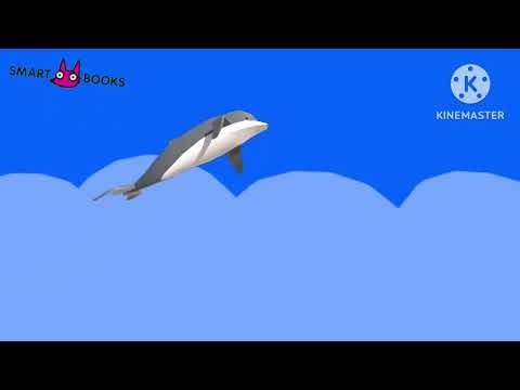 SMARTBOOKS Dolphin logo